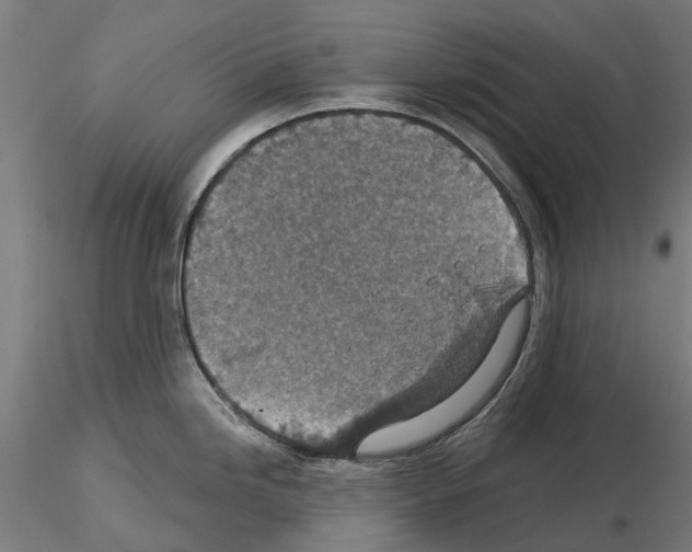 X0000115251246200912111110