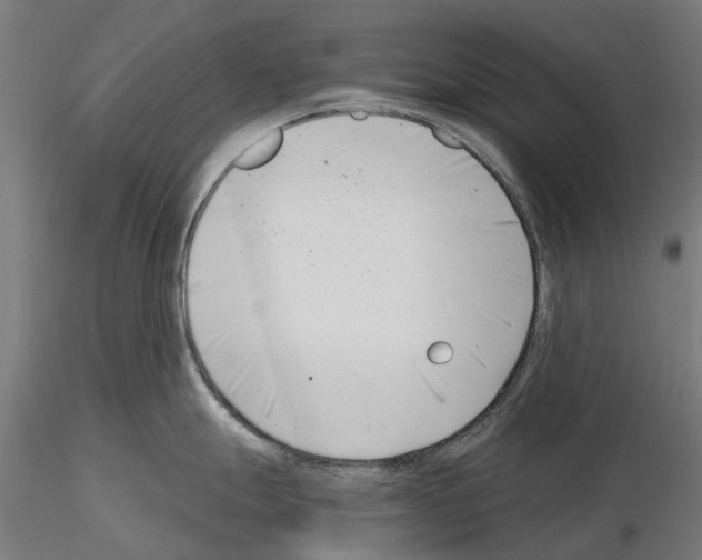 X0000115251247200912111110