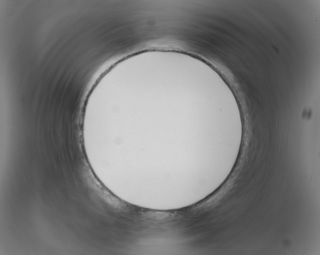 X0000115251248200912111110