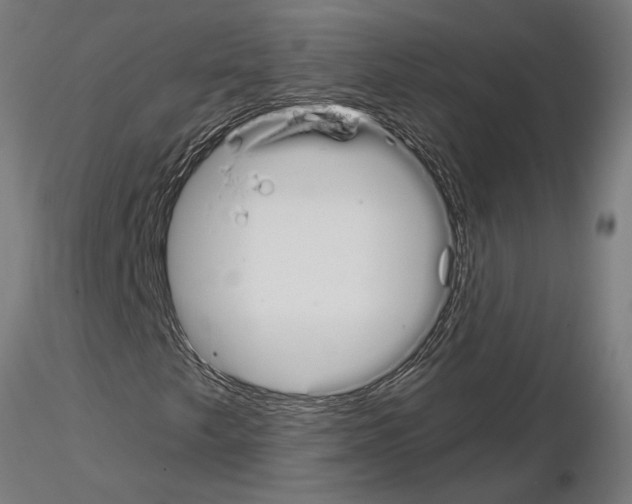 X0000115251249200912111109