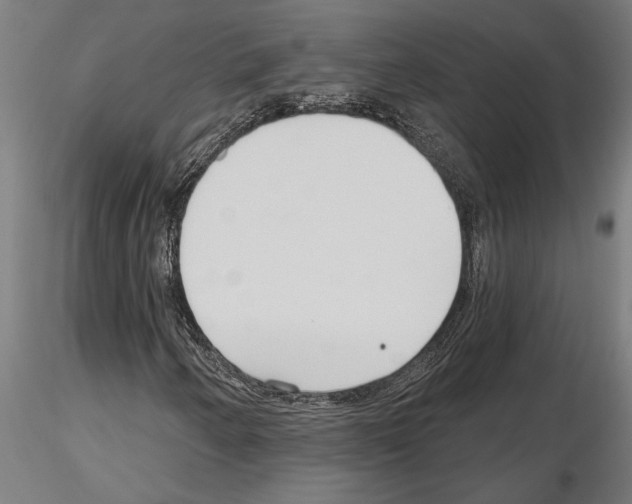 X0000115251250200912111109