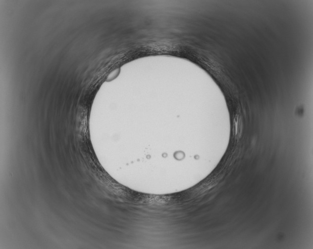 X0000115251251200912111109