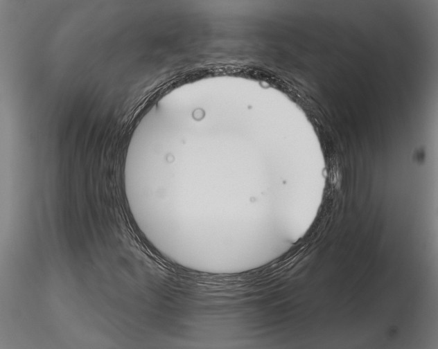 X0000115251252200912111109