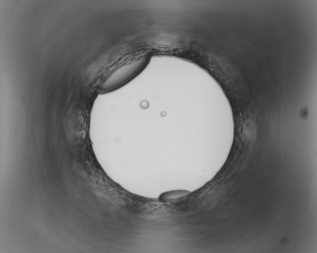 X0000115251253200912111109