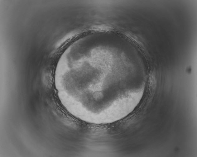 X0000115251254200912111109