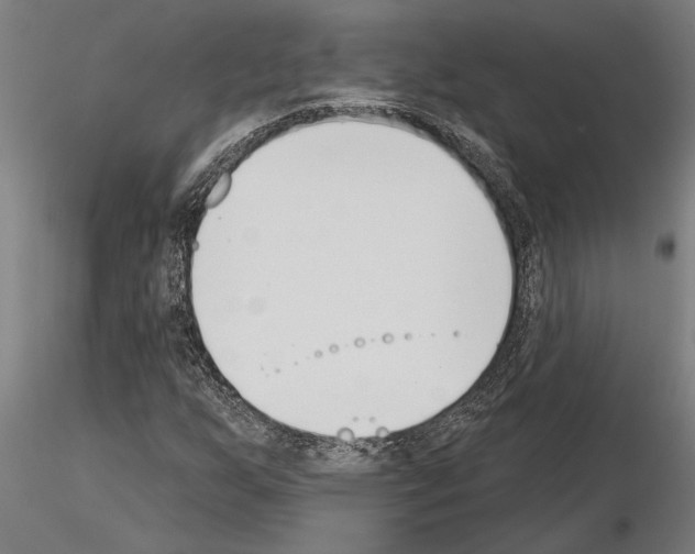 X0000115251255200912111109