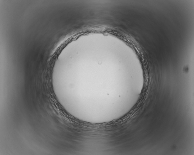 X0000115251256200912111109