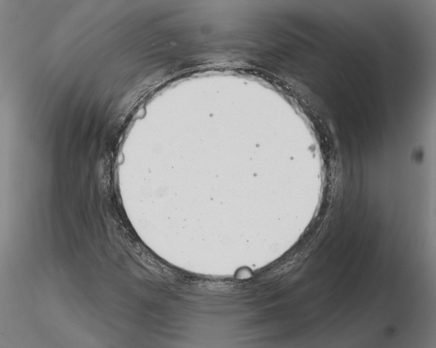 X0000115251257200912111109