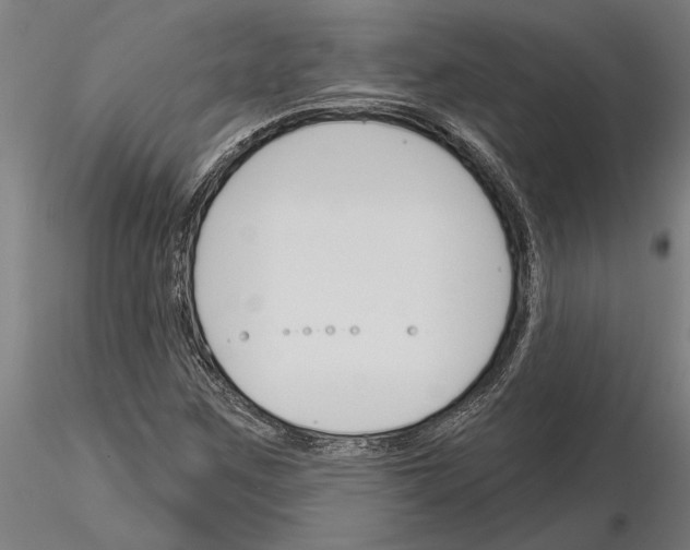 X0000115251259200912111109