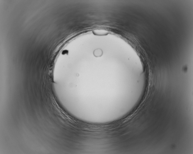 X0000115251260200912111109