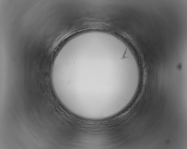 X0000115251261200912111109