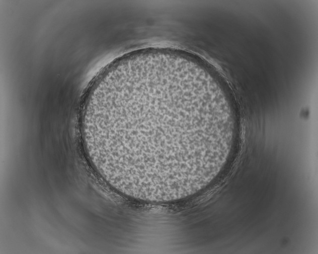 X0000115251263200912111109