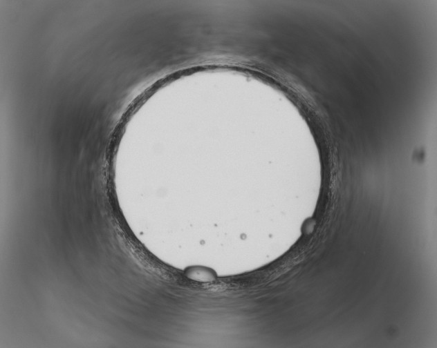 X0000115251264200912111109