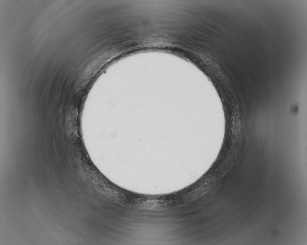 X0000115251265200912111109