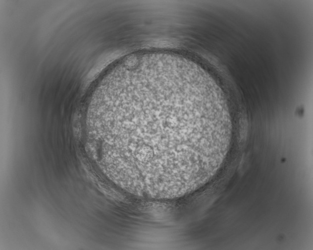 X0000115251266200912111109