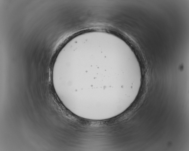 X0000115251267200912111109