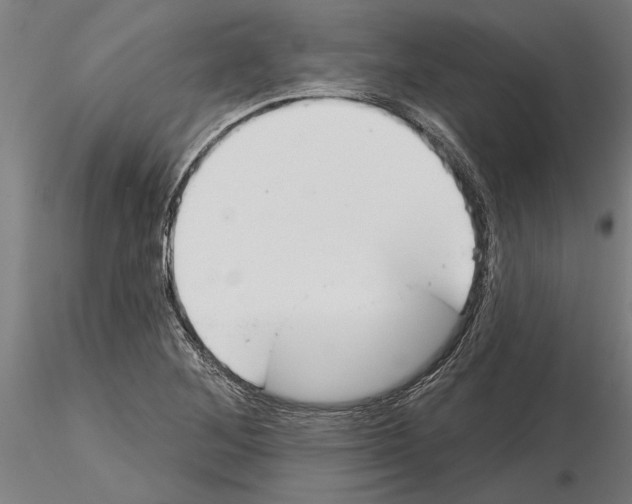 X0000115251268200912111109