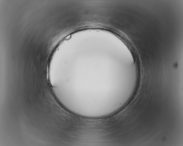 X0000115251269200912111109