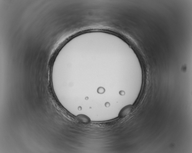 X0000115251270200912111109