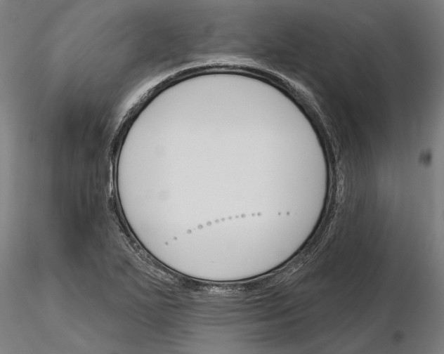 X0000115251271200912111109