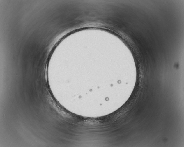 X0000115251272200912111109