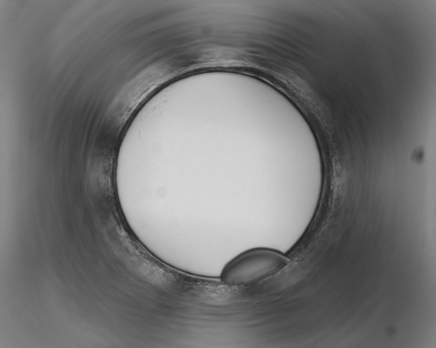 X0000115251273200912111109