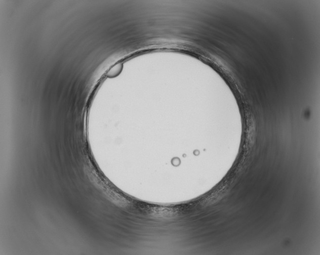 X0000115251275200912111109