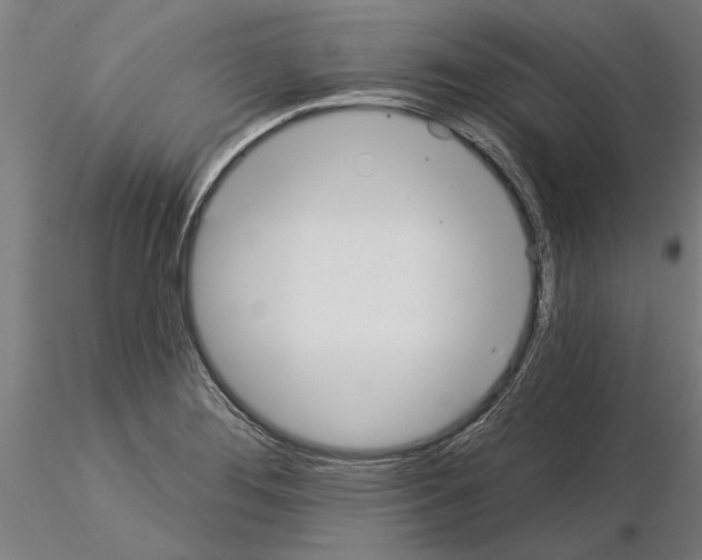 X0000115251276200912111109