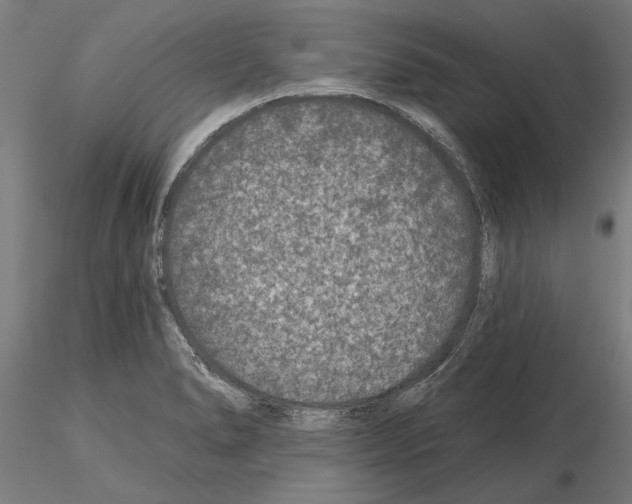 X0000115251278200912111108