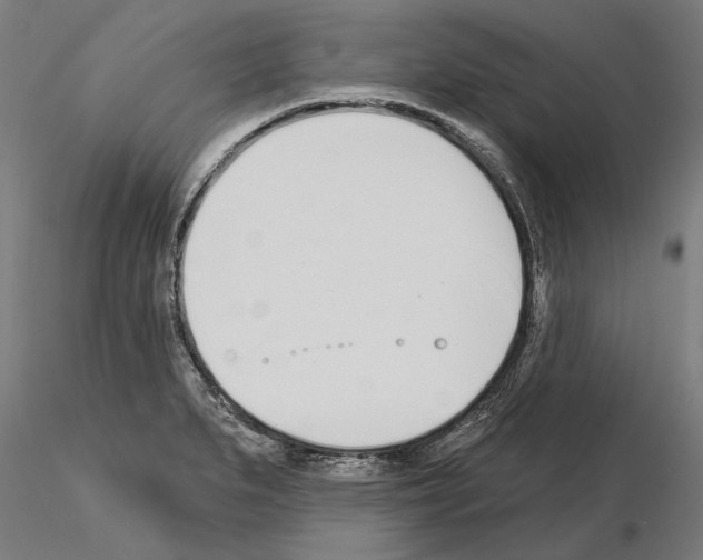 X0000115251279200912111108