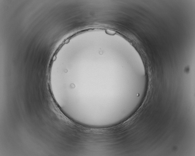 X0000115251280200912111108