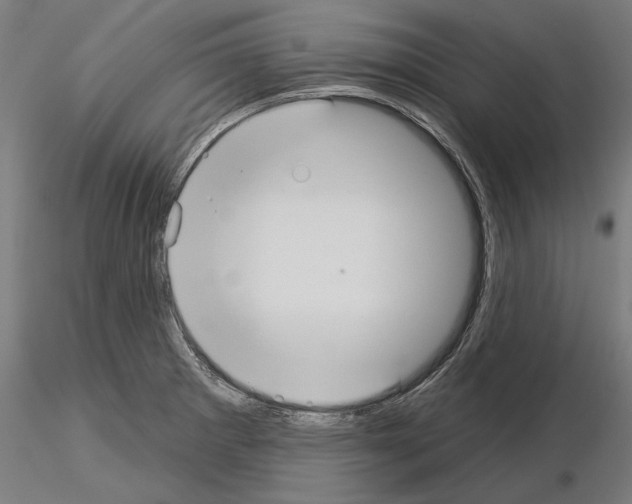 X0000115251281200912111108