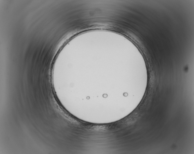 X0000115251283200912111108