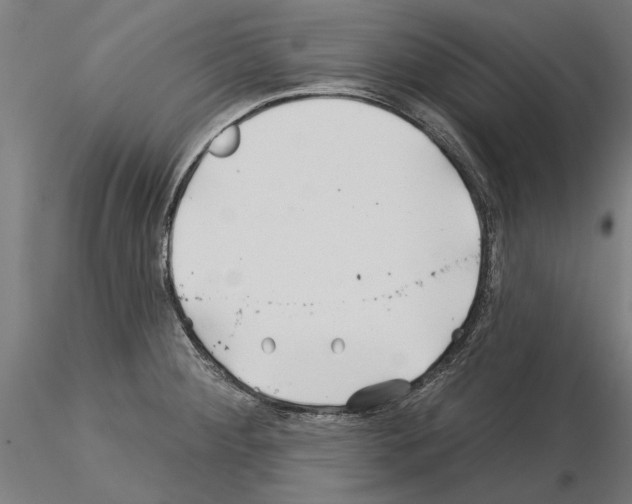 X0000115251284200912111108