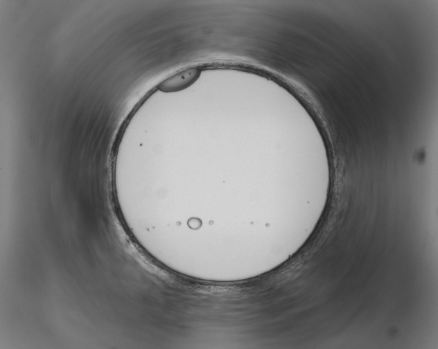 X0000115251287200912111108