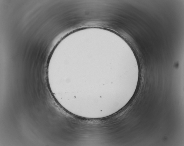 X0000115251288200912111108