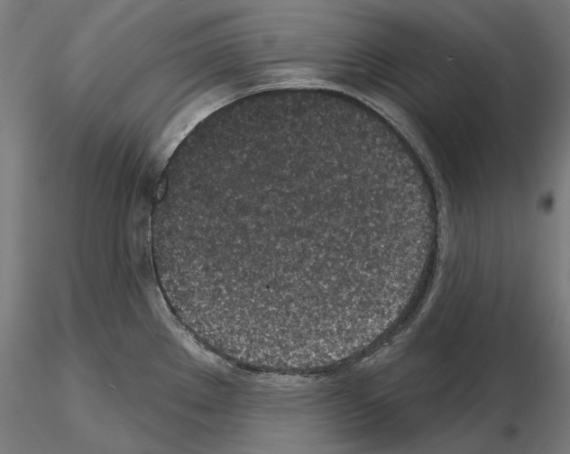 X0000115251289200912111108