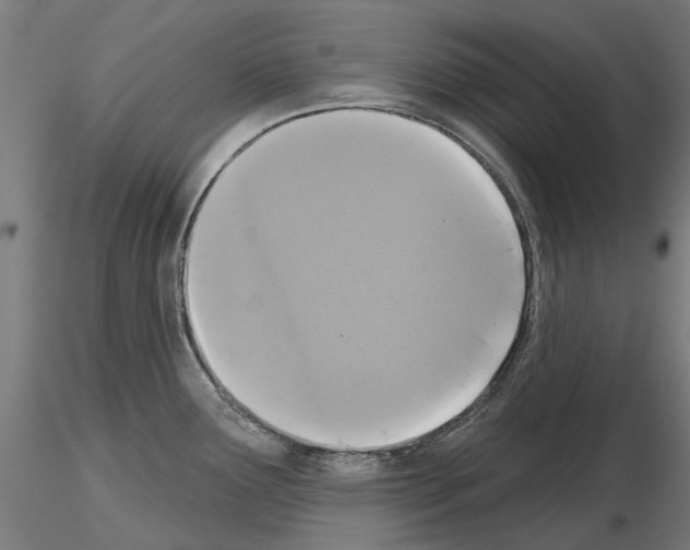 X0000115251291200912111108