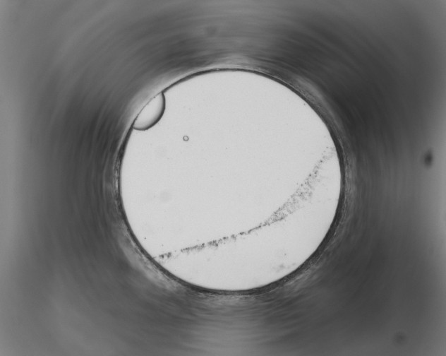 X0000115251292200912111108