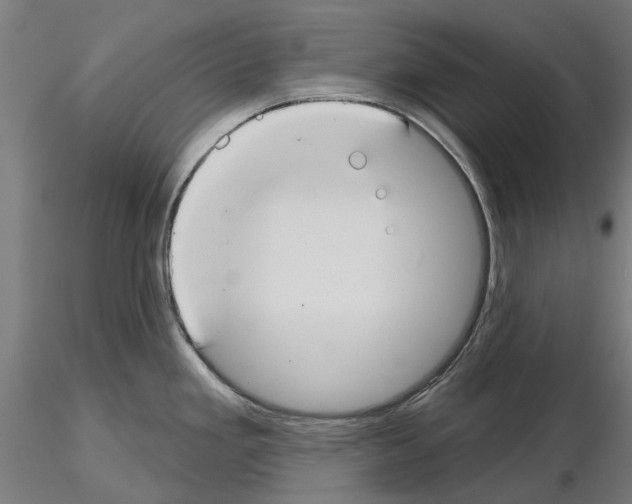 X0000115251293200912111108