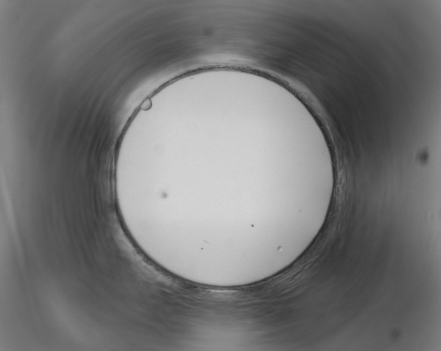 X0000115251295200912111108