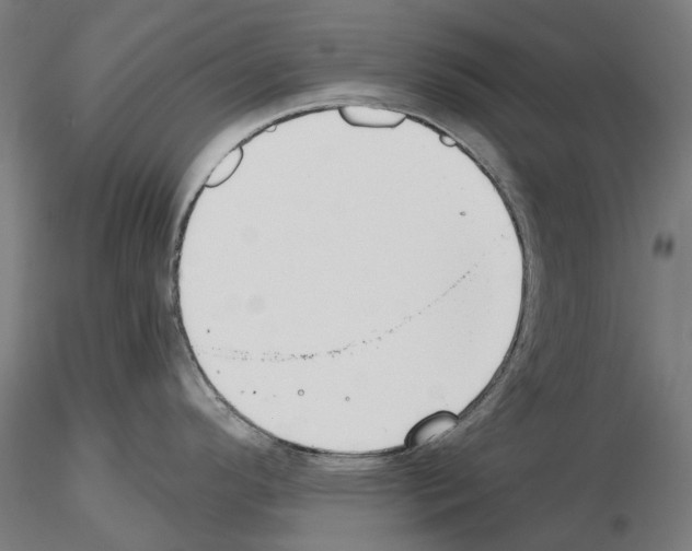 X0000115251296200912111108