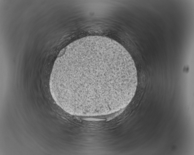 X0000115251297200912111108