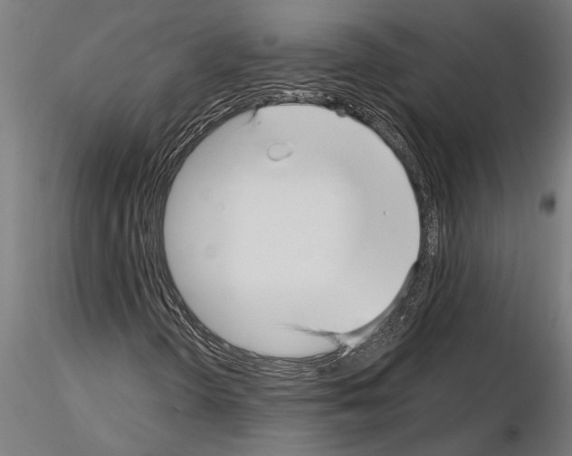 X0000115251298200912111108