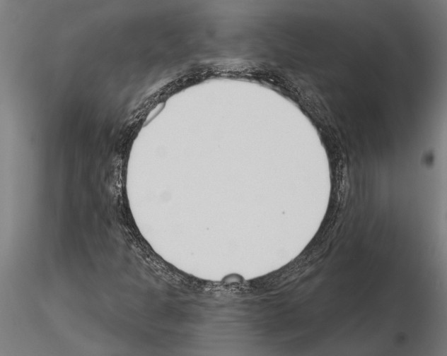 X0000115251301200912111108