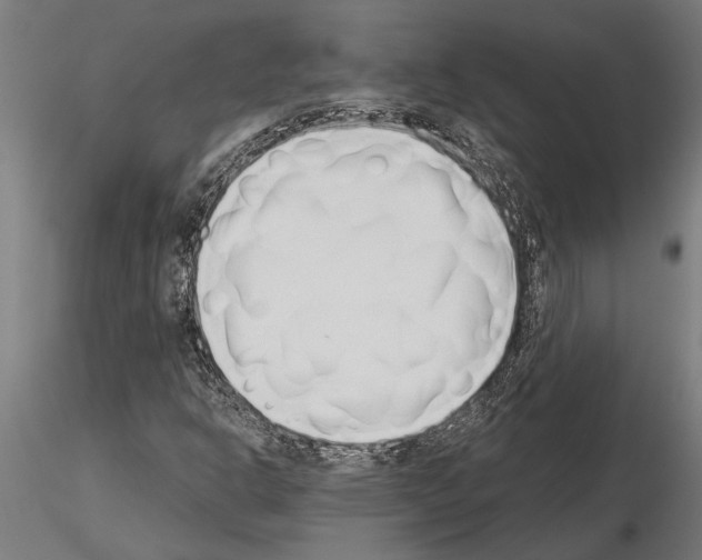 X0000115251302200912111108