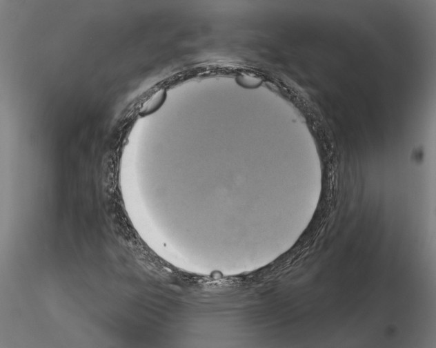 X0000115251303200912111108