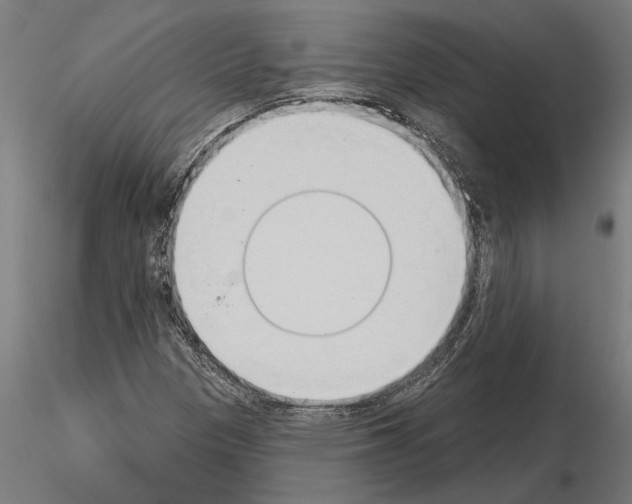 X0000115251305200912111108