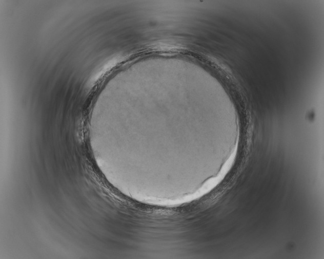 X0000115251306200912111108