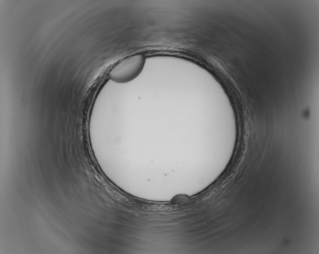 X0000115251307200912111108